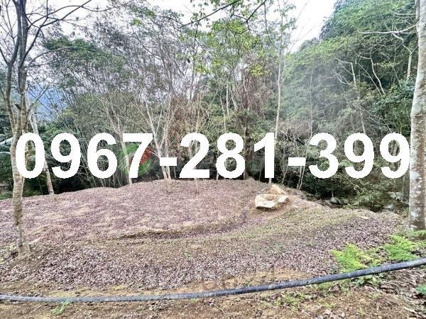 苗栗南庄農地-1