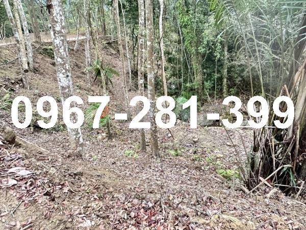 苗栗南庄農地-3