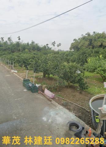 嘉義大林農地法拍-3