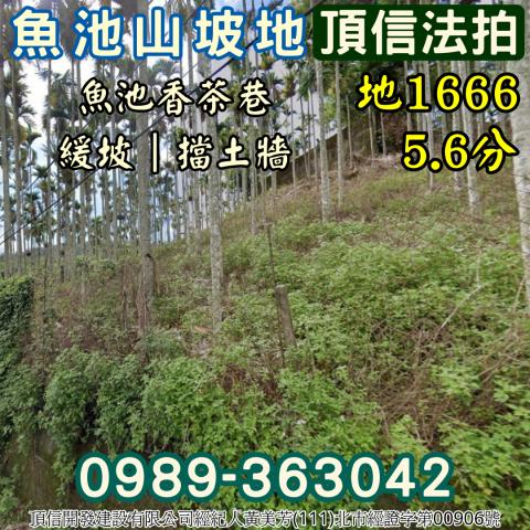 南投魚池法拍農地-5