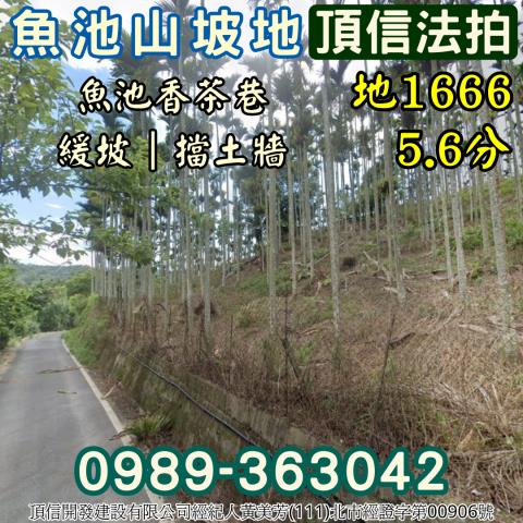 南投魚池法拍農地-2