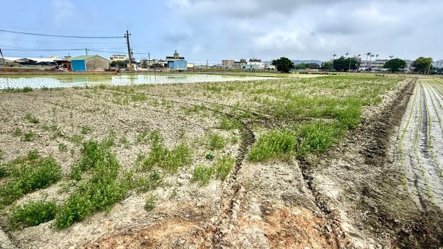 新竹竹北農地-9