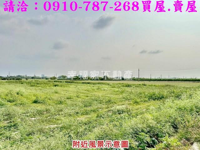 台南善化農地-11