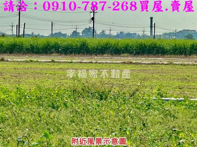 台南善化農地-9