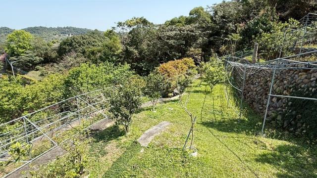 新竹關西農地-13