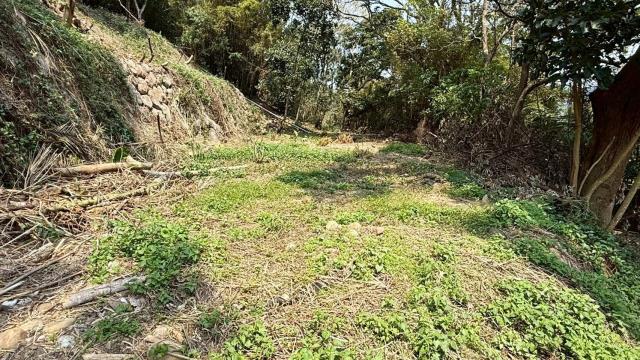 新竹關西農地-11