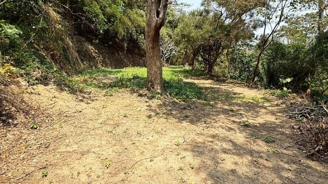 新竹關西農地-3