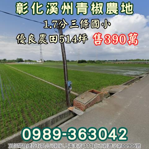 彰化溪州農地-1