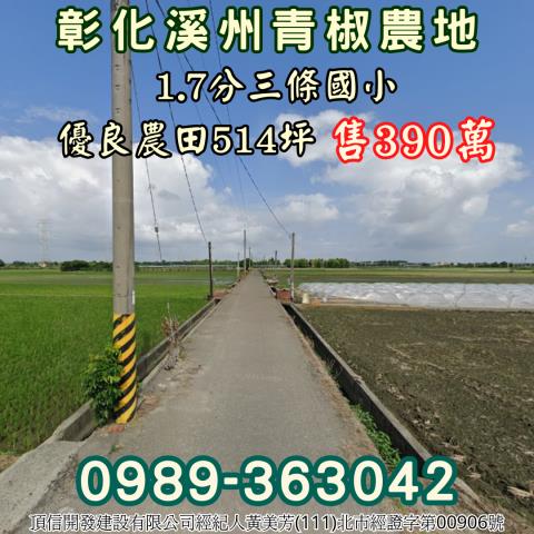 彰化溪州農地-3