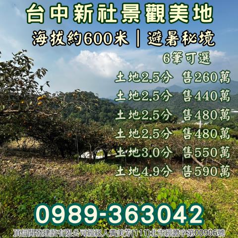 台中新社農地-12