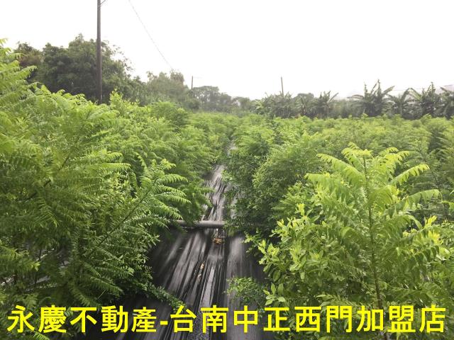 台南玉井農地-8