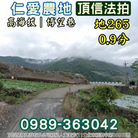 仁愛鄉法拍農地-1