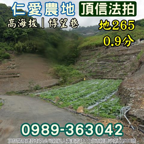 仁愛鄉法拍農地-2