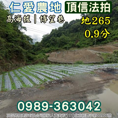 仁愛鄉法拍農地-3