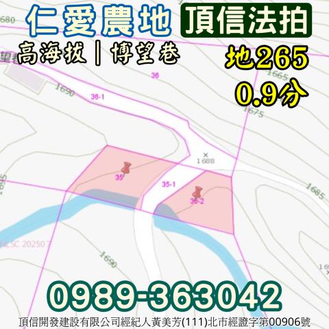 仁愛鄉法拍農地-4