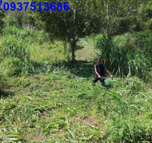 新竹原住民保留地-10