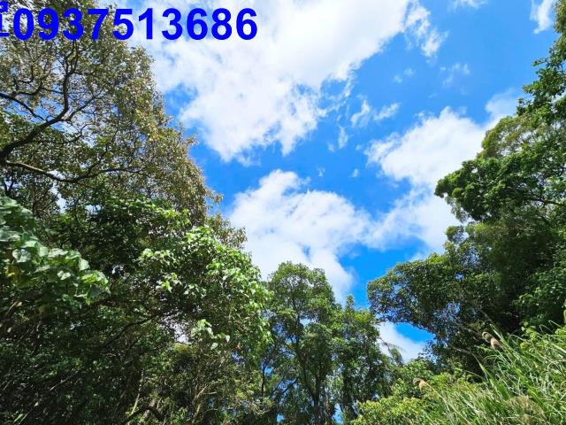 宜蘭頭城山坡地-10