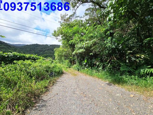 宜蘭頭城山坡地-7