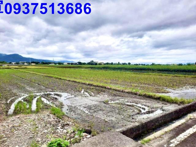 宜蘭三星農地-7