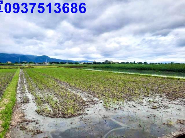 宜蘭三星農地-9