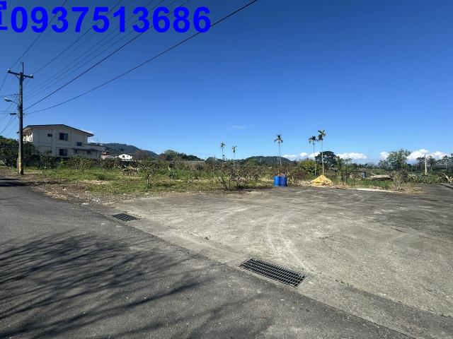 宜蘭冬山農地-1