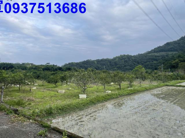 宜蘭員山農地-15