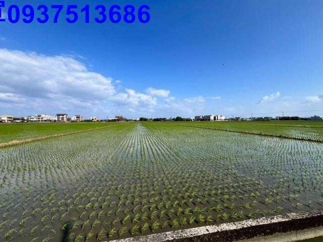 宜蘭礁溪農地-7