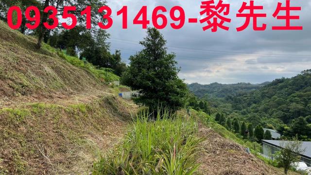 新竹北埔農地-3