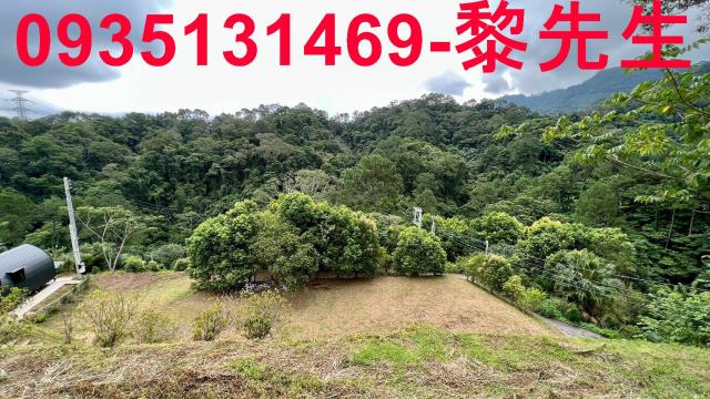 新竹北埔農地-8