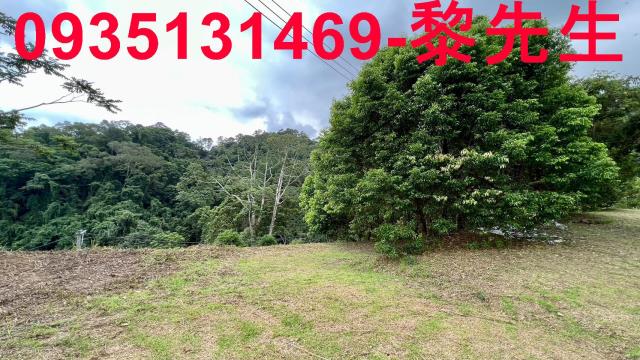 新竹北埔農地-10