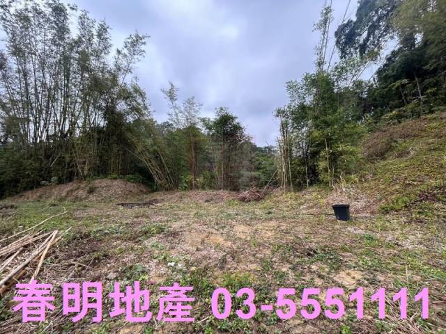 新竹橫山農地-2