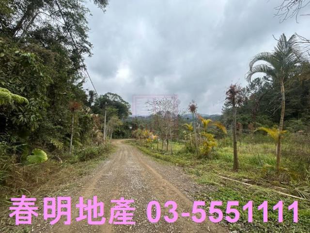 新竹橫山農地-6