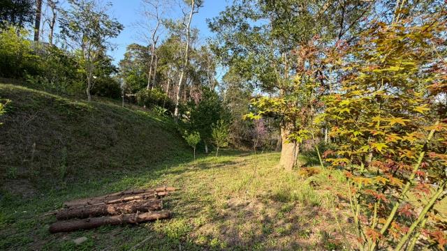 新竹北埔農地-10