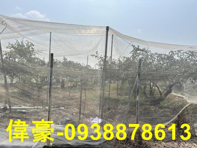 高雄燕巢農地-1