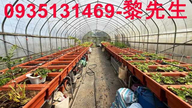 新竹關西農地-9