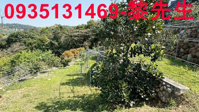 新竹關西農地-3