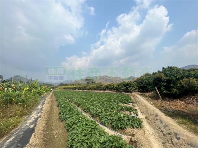 高雄美濃農地-1