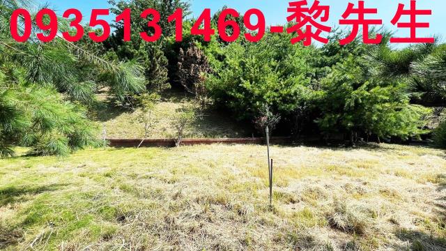 新竹新埔農地-4