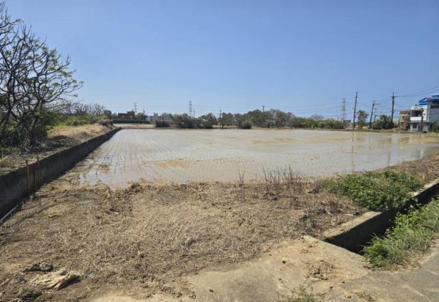 桃園觀音農地-2