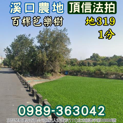 溪口法拍農地-2