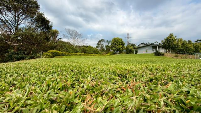 新竹關西農地-1