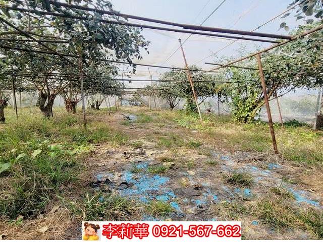 高雄燕巢農地-12
