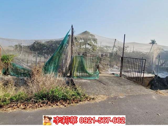 高雄燕巢農地-4