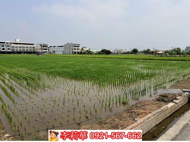 高雄林園農地-3