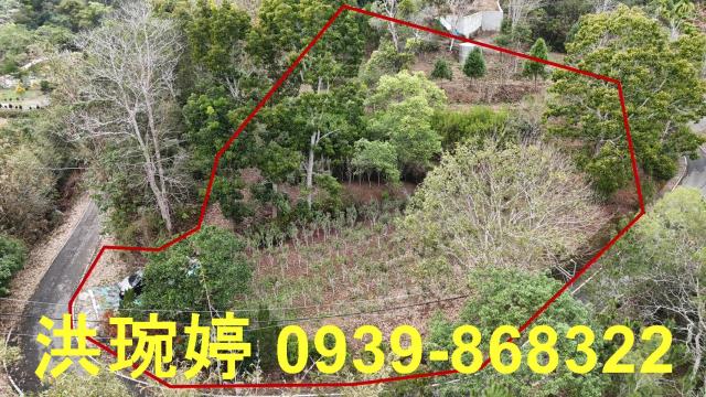 南投國姓農地-4