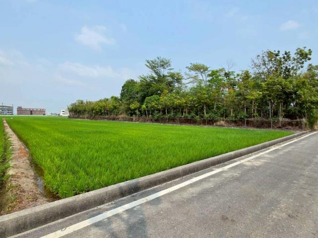 台南六甲農地-8