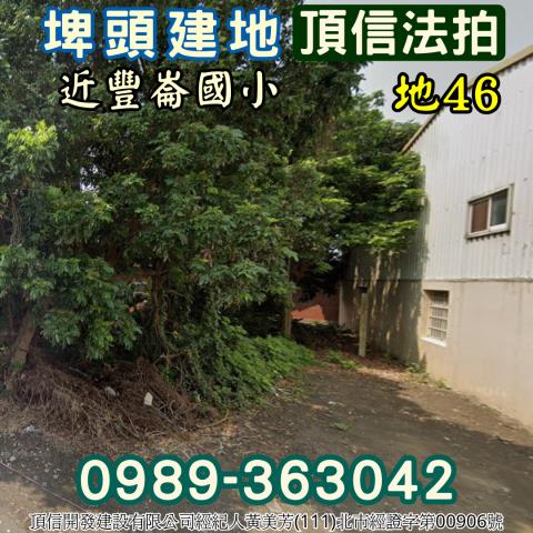 埤頭法拍建地-2