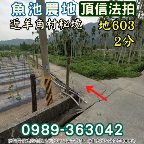 魚池農地法拍-1