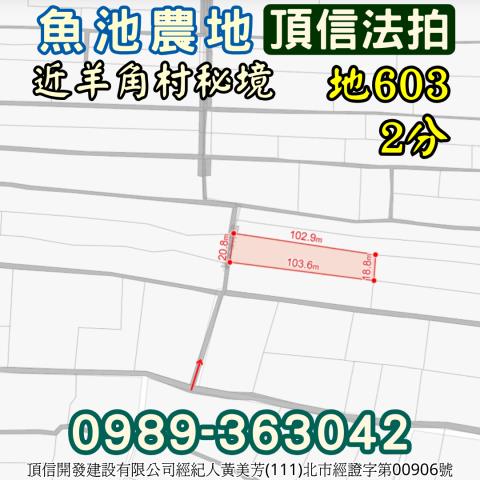 魚池農地法拍-2