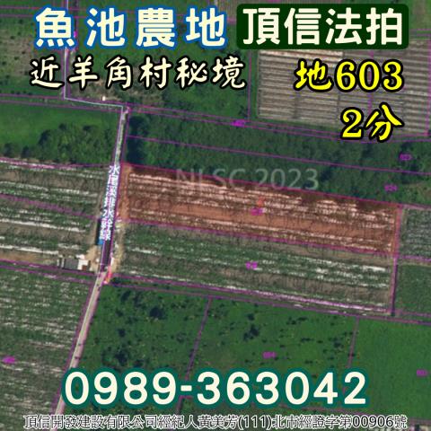 魚池農地法拍-3